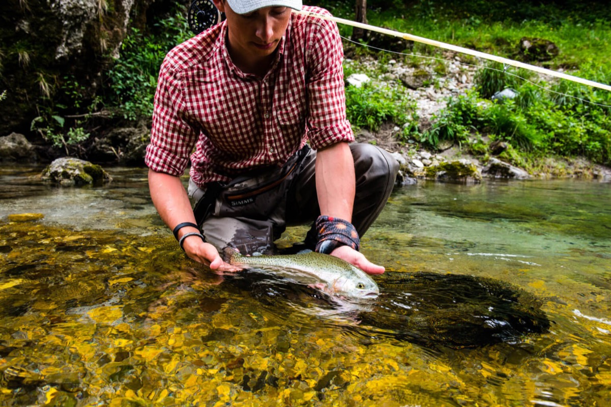 Fluefiske etter ørret i elv