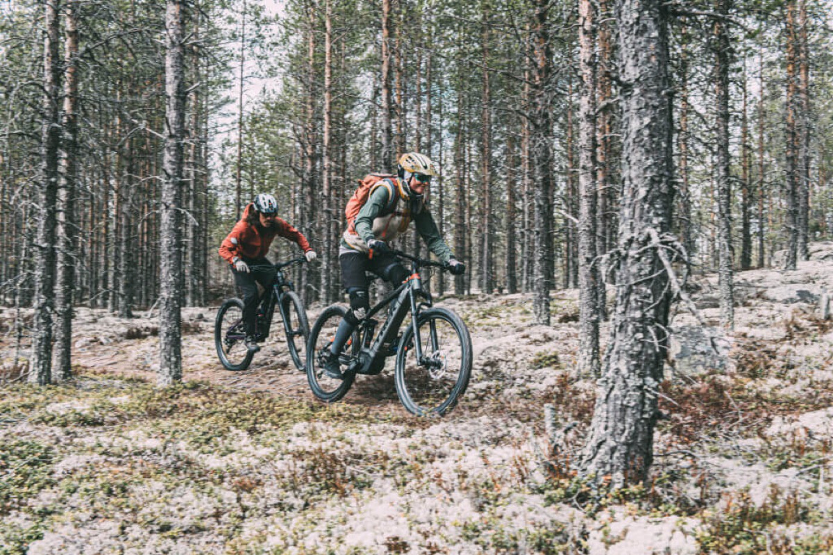 Terrengsyklister i furuskog